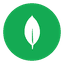 MongoDB