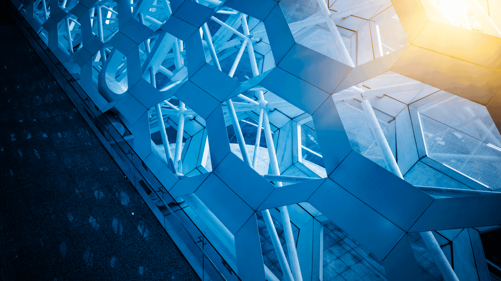 Frictionless Finance: How a Leading Auto Lender Digitized its Analog Service Model
