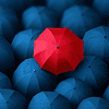 Insurance