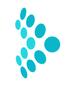 IQZ Partner Image